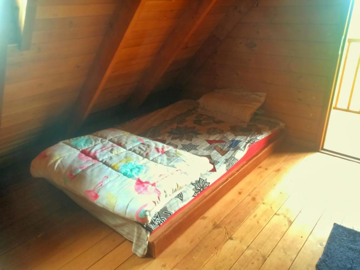 Joy Eco Woodhouse - 5 Bhk House (Adults Only) Villa Ooty Exteriör bild